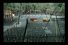 poster-3622-national-geographic-manhattan-68x45