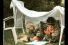 poster-3625-calpol-tent-68x45