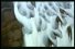 poster-3859-vaseline-sea-of-skin-68x45