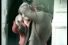 poster-3885-meetic-meetic-co-uk-love-68x45