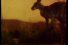 poster-4080-nestle-merveilles-du-monde-les-animaux-68x45