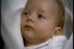 poster-4140-calve-le-bebe-68x45