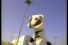 poster-429-pets-com-parking-lot-68x45