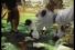 poster-430-pets-com-dog-park-68x45