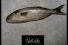 poster-4350-soho-soda-poisson-68x45