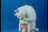 poster-4411-kattomeat-cat-channel-68x45