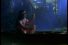poster-4822-timex-piranha-68x45