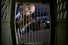 poster-4842-rold-gold-bretzel-sparky-68x45