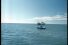 poster-488-dorada-fisherman-68x45