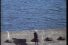 poster-4898-privatisation-de-l-eau-du-barrage-a-la-fontaine-68x45