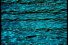 poster-4994-lyonnaise-des-eaux-ecologie-spectacle-de-la-nature-68x45