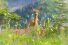 poster-5286-13eme-rue-tendresse-68x45