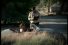 poster-5320-alta-vista-interruption-68x45