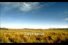 poster-5418-suez-suez-environnement-nature-68x45