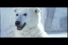 poster-5492-freedent-freedent-fusion-l-ours-68x45