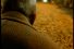 poster-5755-danone-automne-intergenerationnel-68x45
