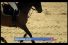 poster-5928-equidia-equidia-fr-saut-d-obstacles-68x45