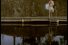 poster-6099-kreditkassen-banque-the-dive-68x45