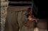 poster-613-ericsson-mobile-frisk-68x45