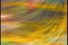 poster-6150-the-daily-telegraph-monet-68x45