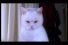 poster-620-catsan-pentmouse-68x45