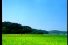 poster-630-preser-taisho-seiyaku-farm-village-68x45