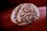 poster-6394-paris-premiere-chaine-de-television-le-cerveau-68x45