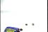 poster-6815-fazer-tyrkisk-peber-les-abeilles-68x45