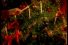 poster-6934-arla-creme-fraiche-christmas-68x45