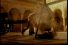 poster-7169-melitta-le-mexicain-68x45