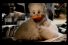 poster-7186-technikart-revue-le-canard-68x45