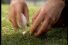 poster-7247-butterkist-golf-68x45