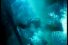 poster-7305-dbv-winterthur-les-marins-68x45