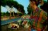 poster-7342-champignon-de-paris-marchande-68x45
