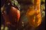 poster-7820-renault-clio-adam-et-eve-68x45