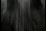 poster-801-sleeky-dog-shampoo-hair-68x45