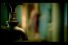 poster-866-golden-hair-la-coiffure-68x45