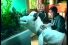 poster-8734-pets-com-hold-my-breath-68x45
