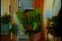 poster-8776-liberty-surf-prise-d-otage-68x45