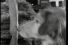 poster-8894-dagbladet-dogs-68x45