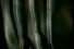 poster-9036-free-gel-savon-shower-68x45