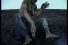 poster-9398-murphy-s-ultime-test-68x45