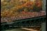 poster-9504-new-york-marathon-68x45