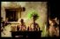 poster-963-miracle-gro-compost-hairdo-68x45