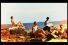 poster-9816-vg-newspaper-la-plage-68x45