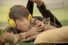 poster-25683-purina-tidy-cats-kitten-therapy-the-prescription-for-stress-68x45