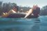 poster-26124-corona-extra-dear-summer-68x45
