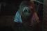 poster-26769-new-south-wales-government-anti-drogue-stoner-sloth-life-of-the-party-said-no-one-ever-68x45