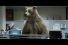 poster-26774-center-parcs-bears-68x45