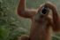 poster-26916-rynkeby-monkey-dance-68x45
